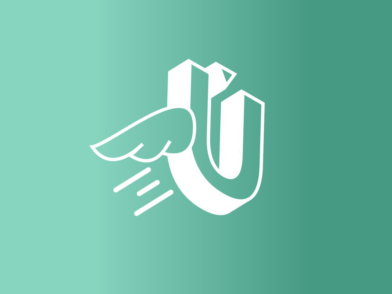 Ueberflieger referenz5
